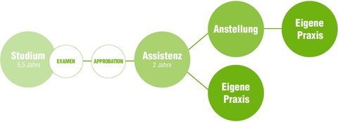 NWD Praxisstart - Karrierezeitstrahl vom Studium bis zur eigenen Zahnarztpraxis